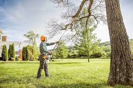 Best Hedge Trimming  in Valley Cottage, NY