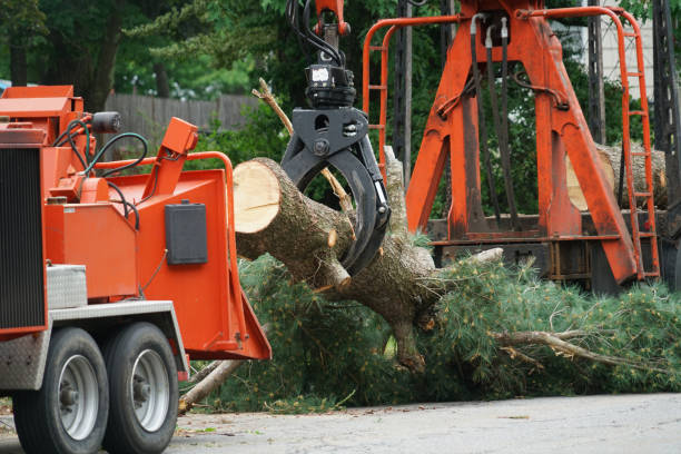 Best Stump Grinding and Removal  in Valley Cottage, NY