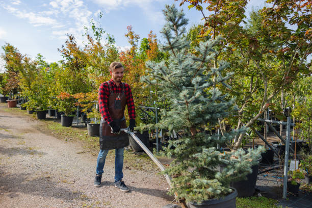 Best Tree Risk Assessment  in Valley Cottage, NY